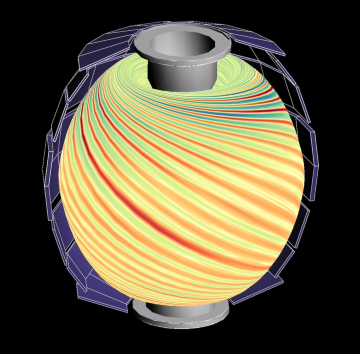 Gyrokinetic Tokamak Simulation