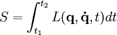 S = \int_{t_1}^{t_2}{L(\mathbf{q},\mathbf{\dot{q}},t) dt}