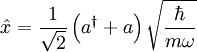 \hat{x}=\frac{1}{\sqrt{2}}\left(a^{\dagger}+a\right)\sqrt{\frac{\hbar}{m\omega}}
